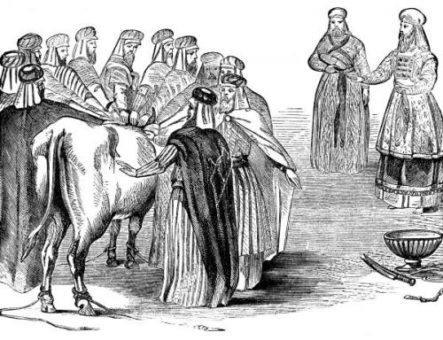 book_of_leviticus__sin_offering_sjpg825