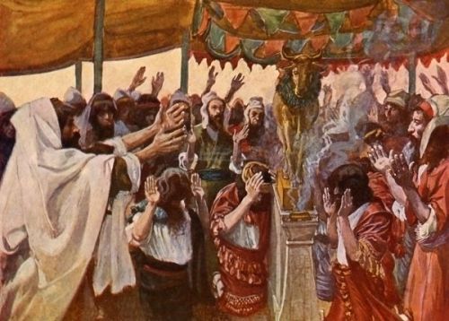 golden_calf__image_5_sjpg676