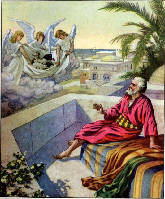 Peter's Vision Acts 10:9-12